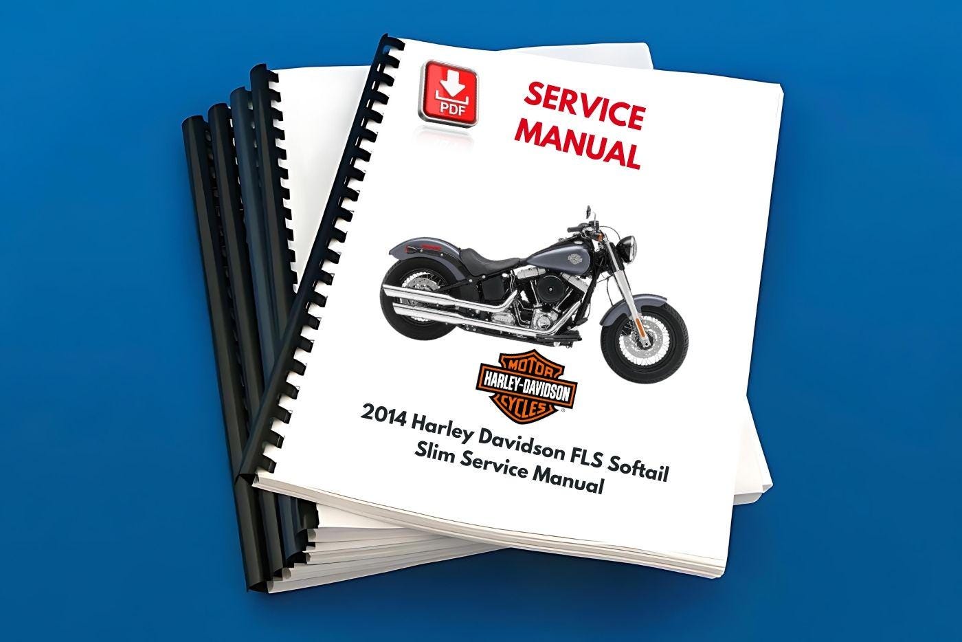 2014 Harley Davidson FLS Softail Slim Service Manual