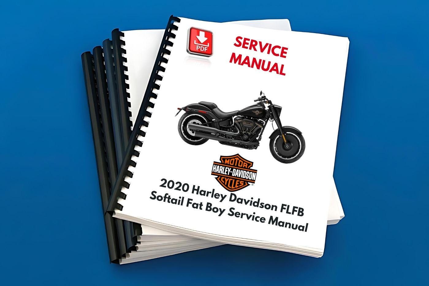 2020 Harley Davidson FLFB Softail Fat Boy Service Manual